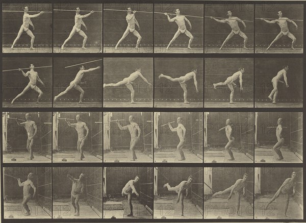 Animal Locomotion; Eadweard J. Muybridge, American, born England, 1830 - 1904, 1887; Collotype; 22.4 x 31.3 cm