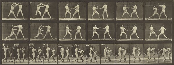 Animal Locomotion; Eadweard J. Muybridge, American, born England, 1830 - 1904, 1887; Collotype; 16.2 x 44.8 cm