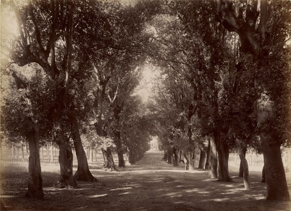 Villa Borghese; James Anderson, British, 1813 - 1877, about 1844 - 1877; Albumen silver print