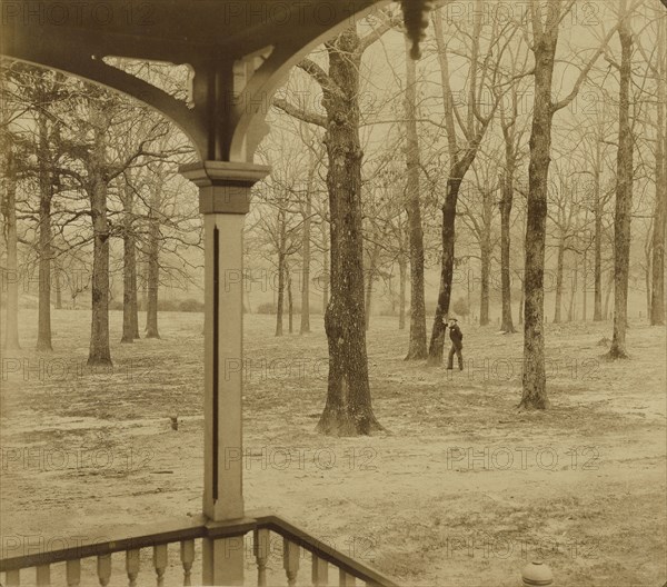 Landscape with Portrait of Alfred R. Waud; Jay Dearborn Edwards, American, 1831 - 1900, about 1891; Albumen silver print