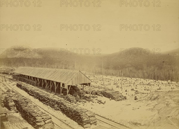 R.E. Peabody & Co., Lumber Manufacturers, Peabody Station, Vermont; Daniel A. Clifford, American, 1826 - 1887, United States