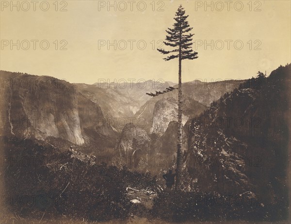 Yo-Semite Valley, from the Mariposa Trail. Mariposa County, Cal; C.L. Weed, American, 1824 - 1903, negative 1864; print 1864