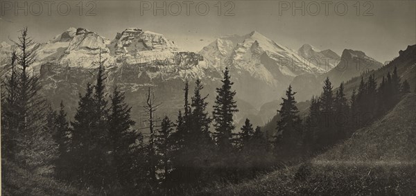 Alpine Landscape; Adolphe Braun, French, 1811 - 1877, 1865 - 1870; Carbon print; 22.2 x 46.8 cm 8 3,4 x 18 7,16 in