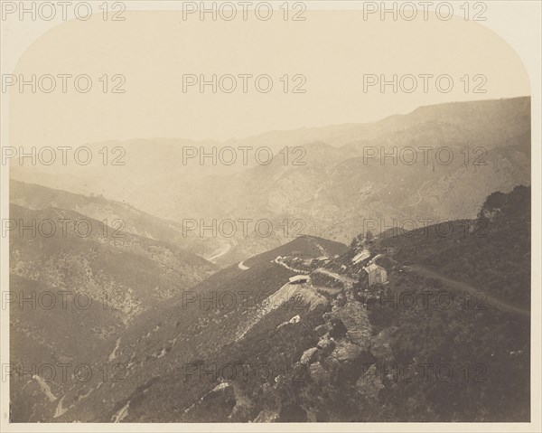 Pine Tree Mine; Carleton Watkins, American, 1829 - 1916, 1860; Salted paper print; 31.4 x 39.5 cm 12 3,8 x 15 9,16 in