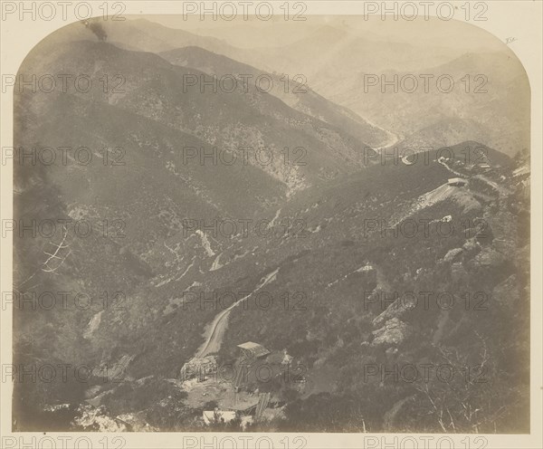 Josephine and Pine Tree; Carleton Watkins, American, 1829 - 1916, 1860; Salted paper print; 41.3 x 33.3 cm 16 1,4 x 13 1,8 in