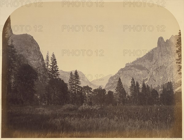 Up the Valley - Yo Semite; Carleton Watkins, American, 1829 - 1916, Yosemite, California, United States; 1861; Albumen silver