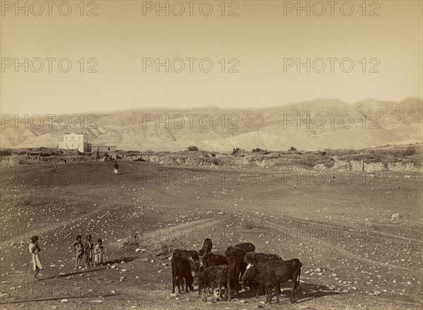 Vue générale de Jéricho prise de la plaine; Félix Bonfils, French, 1831 - 1885, Jericho, Palestine; 1870 - 1879; Albumen silver