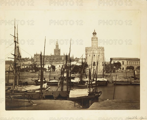 Cathedral, Torre del Oro and Guadalquivir River, Seville; Charles Clifford, English, 1819,1820 - 1863, September 19-22, 24-25