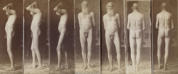 Naked Series: Old Man; Thomas Eakins, American, 1844 - 1916, United States; about 1883; Albumen silver print