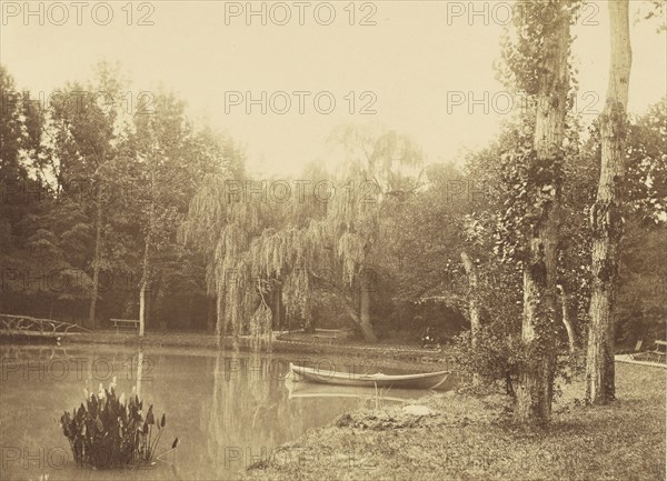 Scene at the Bois de Boulogne, Paris; Charles Marville, French, 1813 - 1879, Paris, France; 1858; Albumen silver print