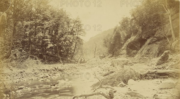 Landscape with a river, possibly in South America; 1870s; Albumen silver print