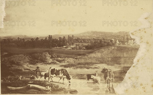 Landscape painting; about 1860 - 1890; Albumen silver print