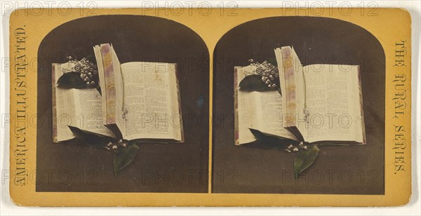 Book opened at two spots, one with book mark string, the other with flowers; American; about 1870 - 1880; Hand-colored Albumen
