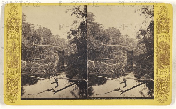 Pipe of Peace. Ocklawaha River; American; about 1870 - 1880; Albumen silver print