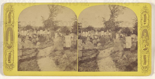 Burying Hill Plymouth Mass; American; about 1870 - 1880; Albumen silver print