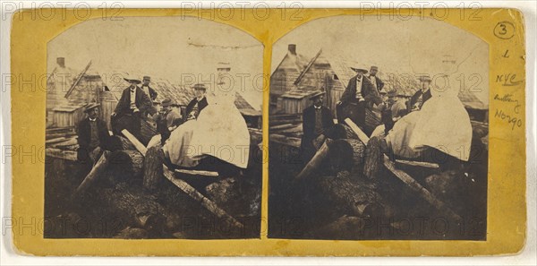 Men & womens hat Fashions on the Terhune Estate Ho-ho-Kus, N.J. Bugen Co. - 1869; American; September 2, 1869; Albumen silver