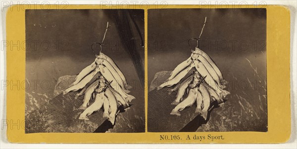 A days sic Sport; O.H. Cook, American, active 1870s, 1868; Albumen silver print