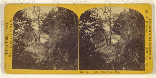 View from Nisky Hill; M.A. Kleckner, American, active Pennsylvania 1870s, about 1870; Albumen silver print