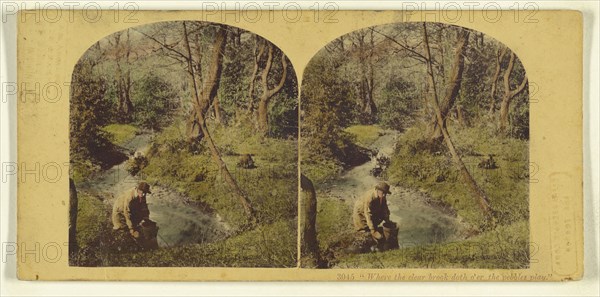 Where the clear brook doth o'er the pebbles play.; London Stereoscopic Company, active 1854 - 1890, about 1860; Hand colored