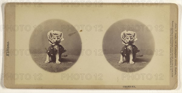 Grand-Ma; John P. Soule, American, 1827 - 1904, 1871; Albumen silver print