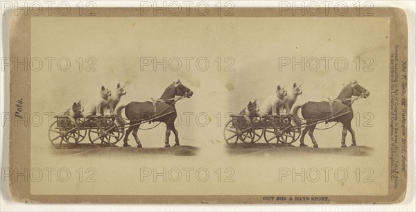 Out for a Days Sport; John P. Soule, American, 1827 - 1904, 1873; Albumen silver print