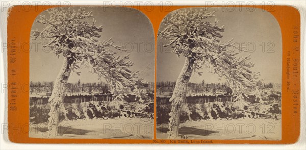 Ice Tree, Luna Island; John P. Soule, American, 1827 - 1904, about 1865; Albumen silver print