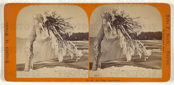 Ice Tree, Luna Island; John P. Soule, American, 1827 - 1904, about 1865; Albumen silver print