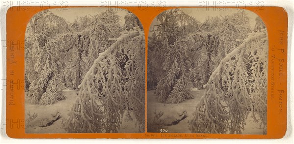 Ice Foliage, Luna Island; John P. Soule, American, 1827 - 1904, about 1865; Albumen silver print