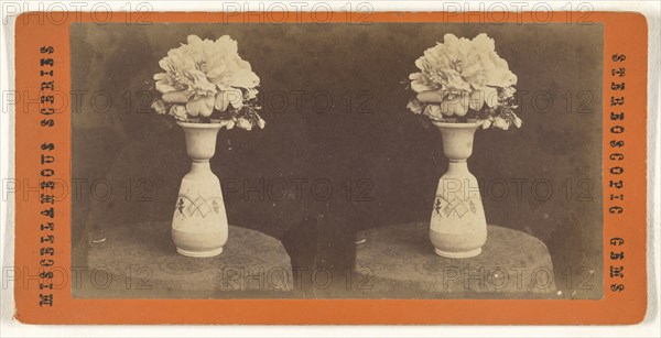 Peony; 1865 - 1875; Albumen silver print