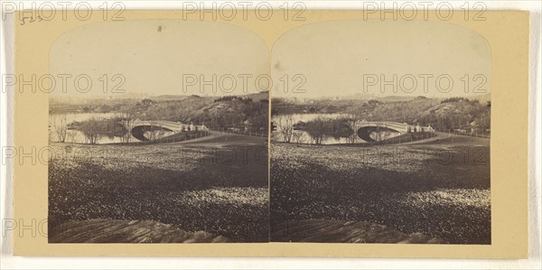 Panorama of The Ramble, Central Park, Snow not yet melted off; Tannin, ?, or Frederick F. Thompson, American, 1836 - 1899, May