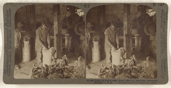 Bagging cotton-seed meal after oil has been extracted, Georgia, U.S.A; Underwood & Underwood, American, 1881 - 1940s