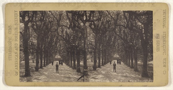 Oxford. Lime Walk, Trinity College; Universal Stereoscopic View Company; about 1880; Collotype