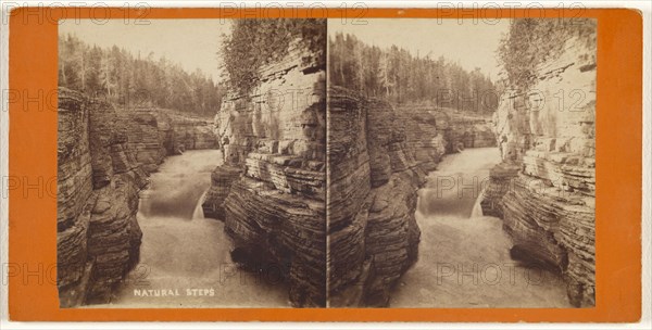 Natural Steps; L.P. Vallée, Canadian, 1837 - 1905, active Quebéc, Canada, 1865 - 1875; Albumen silver print
