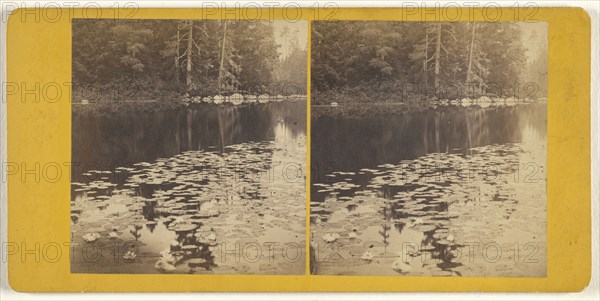 Views About  No.4,   B  Still Life, on Beaver River; Elisha M. Van Aken, American, 1828 - 1904, 1870s; Albumen silver print