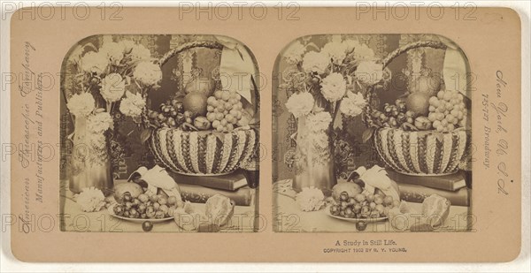 A Study in Still Life; R.Y. Young, American, active New York, New York and Cuba 1890s - 1900s, 1902; Hand-colored Albumen
