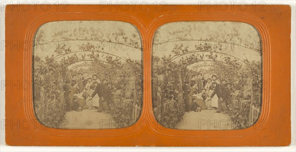 Group of people under a series of grape vines; 1855 - 1860; Hand-colored Albumen silver print