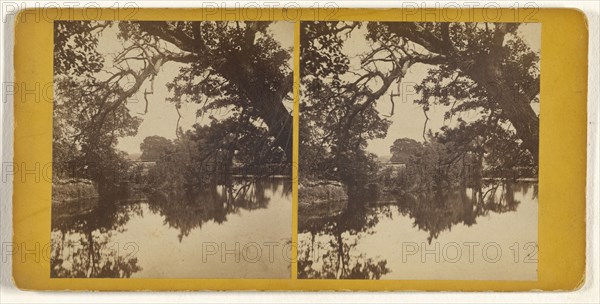 View on the Nashua River; Edward O. Waite, American, active 1880s, 1870s; Albumen silver print