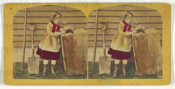 Found a Prize; Franklin G. Weller, American, 1833 - 1877, about 1870; Hand-colored Albumen silver print