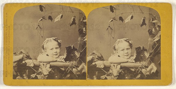 Happy Thoughts; Franklin G. Weller, American, 1833 - 1877, 1871; Albumen silver print