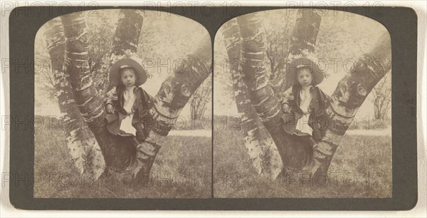 Mildred sitting on birch Tree, Washington Park, Albany, N.Y; Julius M. Wendt, American, active 1900s - 1910s, May 24, 1903