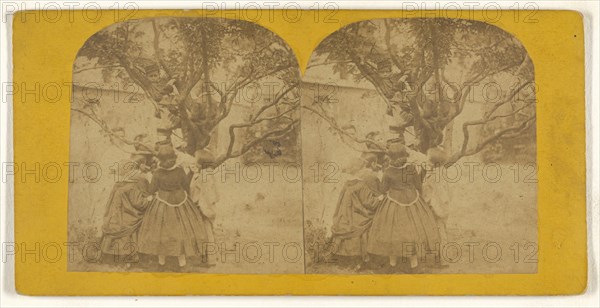 Children playing in tree; British; about 1860; Albumen silver print