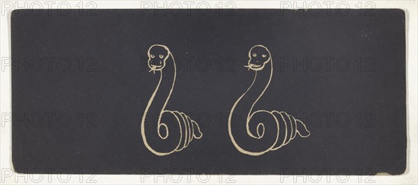 Optical illusion of a drawing of a snake; 1850s; Lithograph