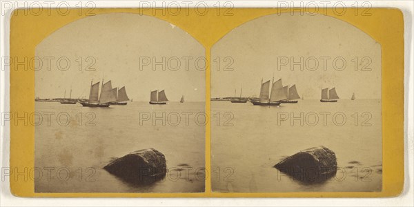 Sailboats in harbor, single rock in foreground; American; about 1870; Albumen silver print