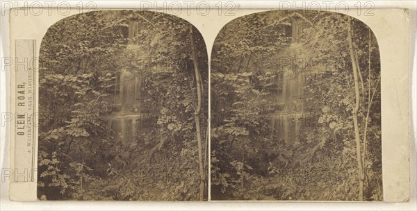 Glen Roar, A Waterfall, Near Hastings; British; about 1860; Albumen silver print