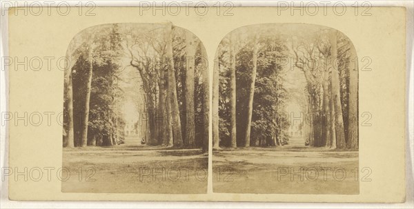 Guy's Cliff, Warwick; British; about 1860; Albumen silver print