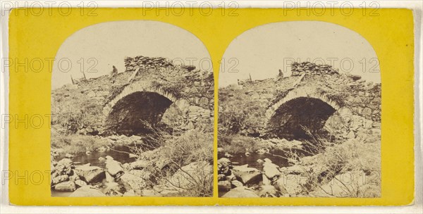 Pont-y-Colwyn Beddgelert, N. Wales; British; about 1865; Albumen silver print