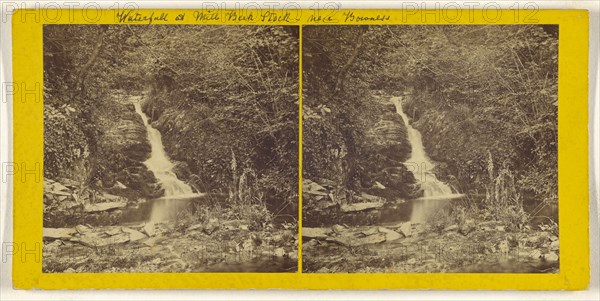 Waterfall at Mill Beck Stock - near Bowness; British; about 1865; Albumen silver print