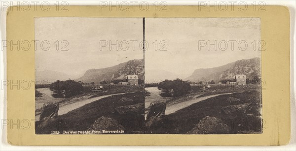 Derwentware from Borrowdale; British; about 1865; Collotype