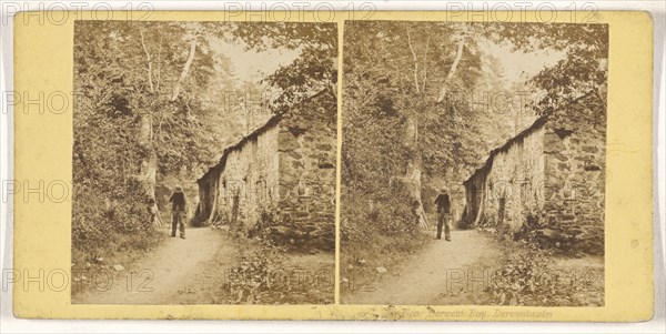 Near Derwent Bay, Derwentwater; British; about 1865; Albumen silver print