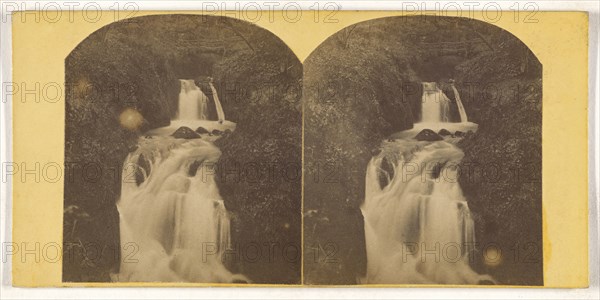 Higher Waterfall, Combe Wood, Bladeford; British; about 1860; Albumen silver print